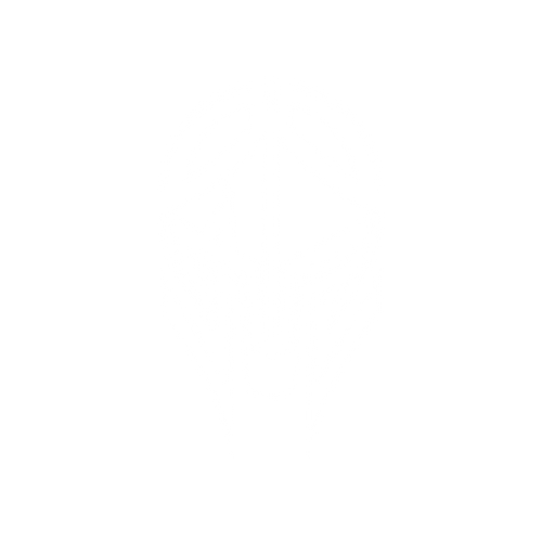 Titans 